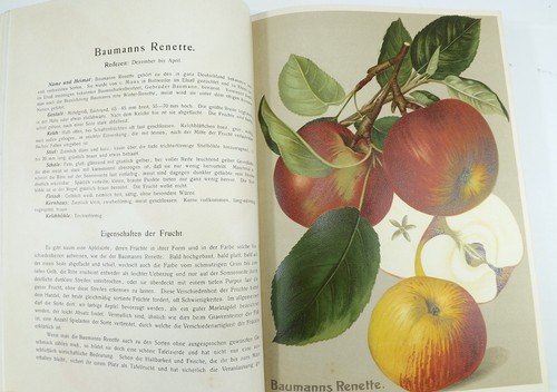 Deutschlands obstsorten alte - deutschlands,